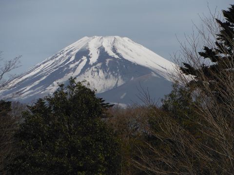 富士山