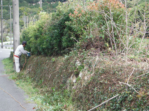 生垣のお手入れ