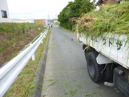 道路草刈奉仕作業