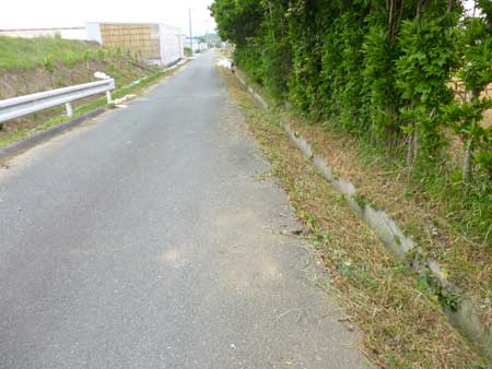 道路草刈奉仕作業